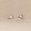 Tiny Frog Stud Earrings, Unisex, Gold, Silver SS699 Butterfly End, SS700 Screw Ball End (Type A) LR