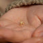 a person holding a tiny gold nose ring