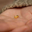 a person&#39;s hand holding a tiny gold nose ring