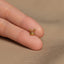 a person&#39;s hand holding a tiny gold nose ring