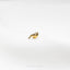a small bird sitting on top of a white surface