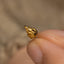 a close up of a person holding a gold ring