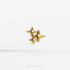 a pair of gold stars on a white surface