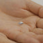 Tiny Puffer Fish Threadless Flat Back Earring, 20,18,16ga, 5-10mm Unisex, Surgical Steel SHEMISLI SS1106