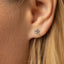 Tiny Sugar Glider Threadless Flat Back Earring, 20,18,16ga, 5-10mm Unisex, Surgical Steel SHEMISLI SS1107