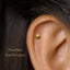 Beetle Stud, Threadless Flat Back Earring, Minimalist Style, A-SS574