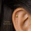 Dainty Beetle Threadless Flat Back Earring, 20,18,16ga, 5-10mm, Unisex, Surgical Steel, SHEMISLI SS574