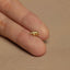Tiny Pangolin Threadless Flat Back Earring, 20,18,16ga, 5-10mm Unisex, Surgical Steel SHEMISLI SS1085