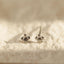 Tiny Sea Turtle Stud Earring, Unisex, Gold, Silver SS809 Butterfly End, SS810 Screw Ball End (Type A) LR