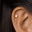 Tiny Angelfish Studs, Fish Earring, Unisex, Gold, Silver SHEMISLI SS657 Butterfly End, SS658 Screw Ball End (Type A) LR