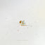 Tiny 6 Petal Opal Stone Threadless Flat Back Tragus Stud, 20,18,16ga, 5-10mm, Unisex, Surgical Steel, SHEMISLI SS559