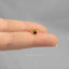 Tiny Black CZ Stone Helix Hoop Earring, Unisex, Gold, Silver SHEMISLI SH656, SH657, SH658, SH659