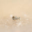 Dainty Shark Threadless Flat Back Earring, 20,18,16ga, 5-10mm Unisex, Surgical Steel SHEMISLI SS579