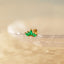 Tiny 5 Leaf Emerald Stone Crown Threadless Flat Back Earring, 20,18,16ga, 5-10mm, Unisex, Surgical Steel SHEMISLI SS560