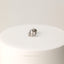Tiny Bee Threadless Flat Back Earring, 20,18,16ga, 5-10mm, Unisex, Surgical Steel, SHEMISLI SS527
