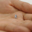 Tiny Cicada Threadless Flat Back Earring, 20,18,16ga, 5-10mm Unisex, Surgical Steel SHEMISLI SS1081