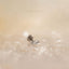 Tiny White Stone Marquise Threadless Flat Back Earring, 20,18,16ga, 5-10mm, Unisex, Surgical Steel, SHEMISLI SS573