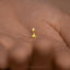 Tiny Giraffe Threadless Flat Back Earring, 20,18,16ga, 5-10mm Unisex, Surgical Steel SHEMISLI SS966