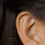 Tiny Star Stud Earring, Starburst CZ Stud, Celestial Earring, Unisex, Gold, Silver SS035 Butterfly End, SS351 Screw Ball End (Type A)