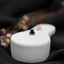 a tiny black insect sitting on top of a white object