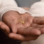 A close-up image of a person's hand holding a small gold-colored piece of jewelry, such as a necklace or earrings.