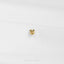 A small gold-colored charm or brooch is centered against a plain white background.