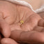 A close-up image of a person's hand holding a small gold-colored flower-shaped earring.