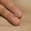 Bobcat Stud, Threadless Flat Back Earring, Minimalist Style, A-SS1030