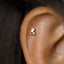 A close-up of a person's ear with a small gold-colored earring in the earlobe.