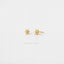 Opal Flower Stud, Butterfly End or Screw Ball End Earring, Minimalist Style, A-SS161 SS460