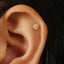 A gold earring with a twisted knot design is visible in the ear of a person with dark hair.