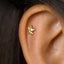 A gold-colored earring in the shape of a unicorn's head is visible in the image.