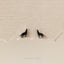 Wolf Stud, Butterfly End or Screw Ball End Earring, Minimalist Style, A-SS703 SS704