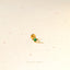 Square Emerald Tragus Stud, Threadless Flat Back Earring, Minimalist Style, A-SS557
