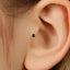 A close-up view of a person's ear, showing a small black gemstone or piercing in the earlobe.