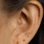 A close-up of a person's ear with a gold-colored earring and three small gold-colored ear studs.