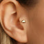 A close-up view of a person's ear, showing a small gold-colored earring in the earlobe.