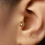 A small gold rabbit earring is visible in the person's ear.