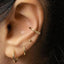 A close-up view of a person's ear adorned with multiple gold hoop earrings.