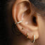 A close-up view of a person's ear adorned with multiple gold earrings, including hoop earrings and a cork earring.
