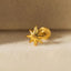 A close-up image of a gold star-shaped earring resting on a white surface.