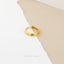 Double Lined Lip Ring, Labret Ring, Minimalist Style, A-SH406 SH407