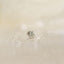 Beetle Nose Stud, Threadless Flat Back, Minimalist Style, A-SS574