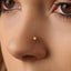 A close-up of a person's nose with a small gold star-shaped nose stud.