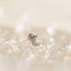 Moon Nose Stud, Threadless Flat Back, Minimalist Style, A-SS568