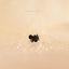 Spider Nose Stud, Threadless Flat Back, Minimalist Style, A-SS561