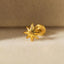 A close-up image of a gold star-shaped earring resting on a white surface.