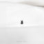a small black spider sitting on top of a white sheet