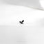 a small bird sitting on top of a white surface