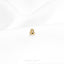 a small insect sitting on top of a white cloth